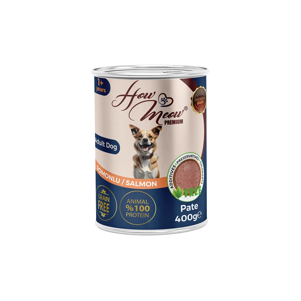 How Meow Pate Yetişkin Köpek Maması Somonlu