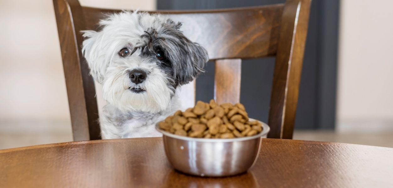 kuru köpek maması fiyatları