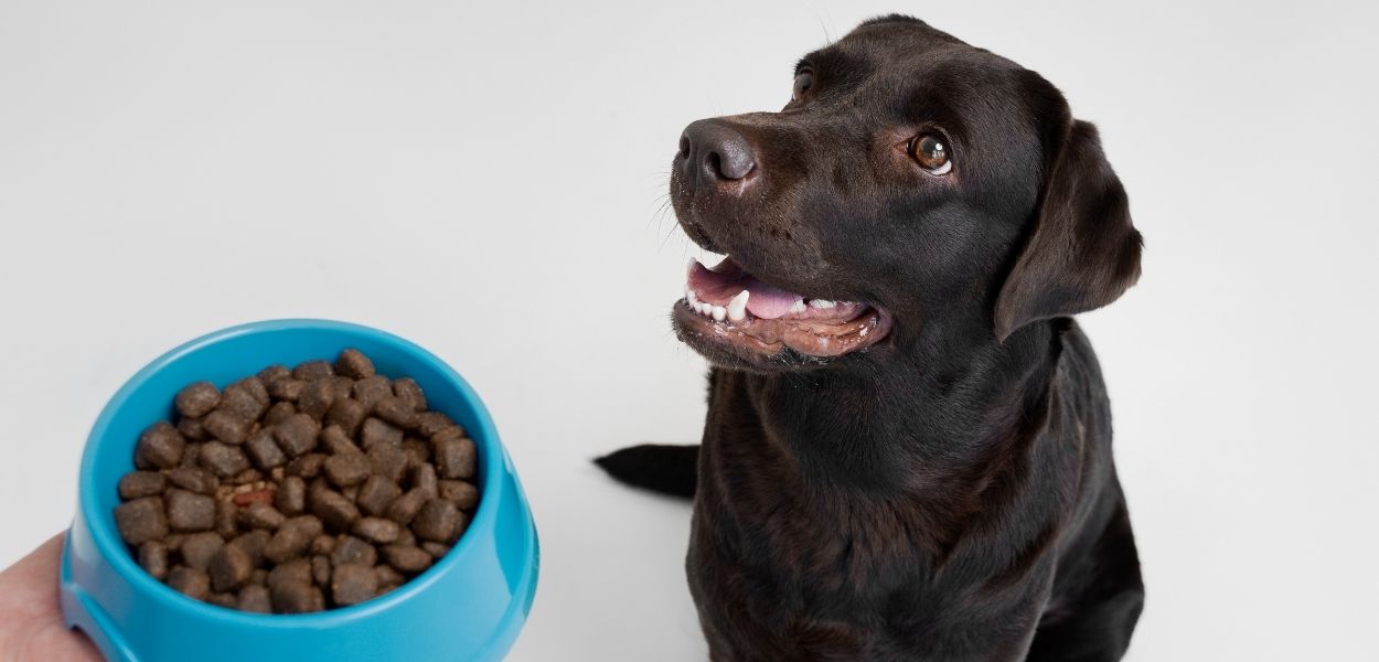 kaliteli köpek maması markası