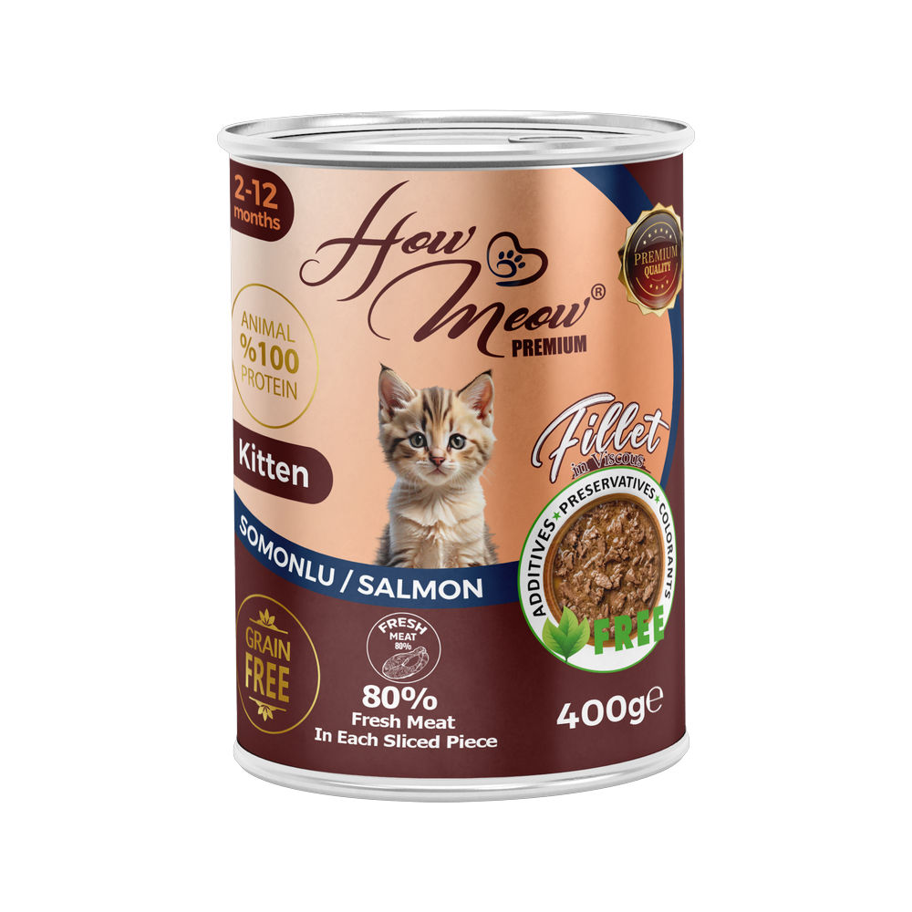 HowMeow Yavru Kediler için Somonlu Fillet In Viscous Tam Yaş Mama