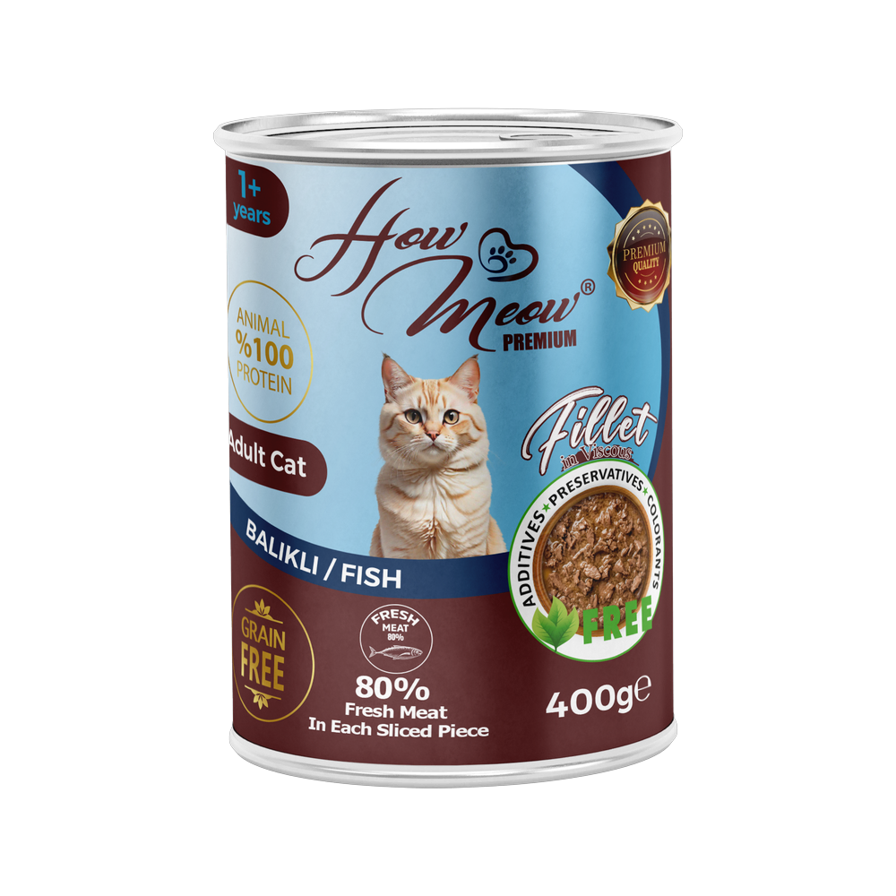 How Meow Yetişkin Kediler için Balıklı Fillet In Viscous Tam Yaş Mama
