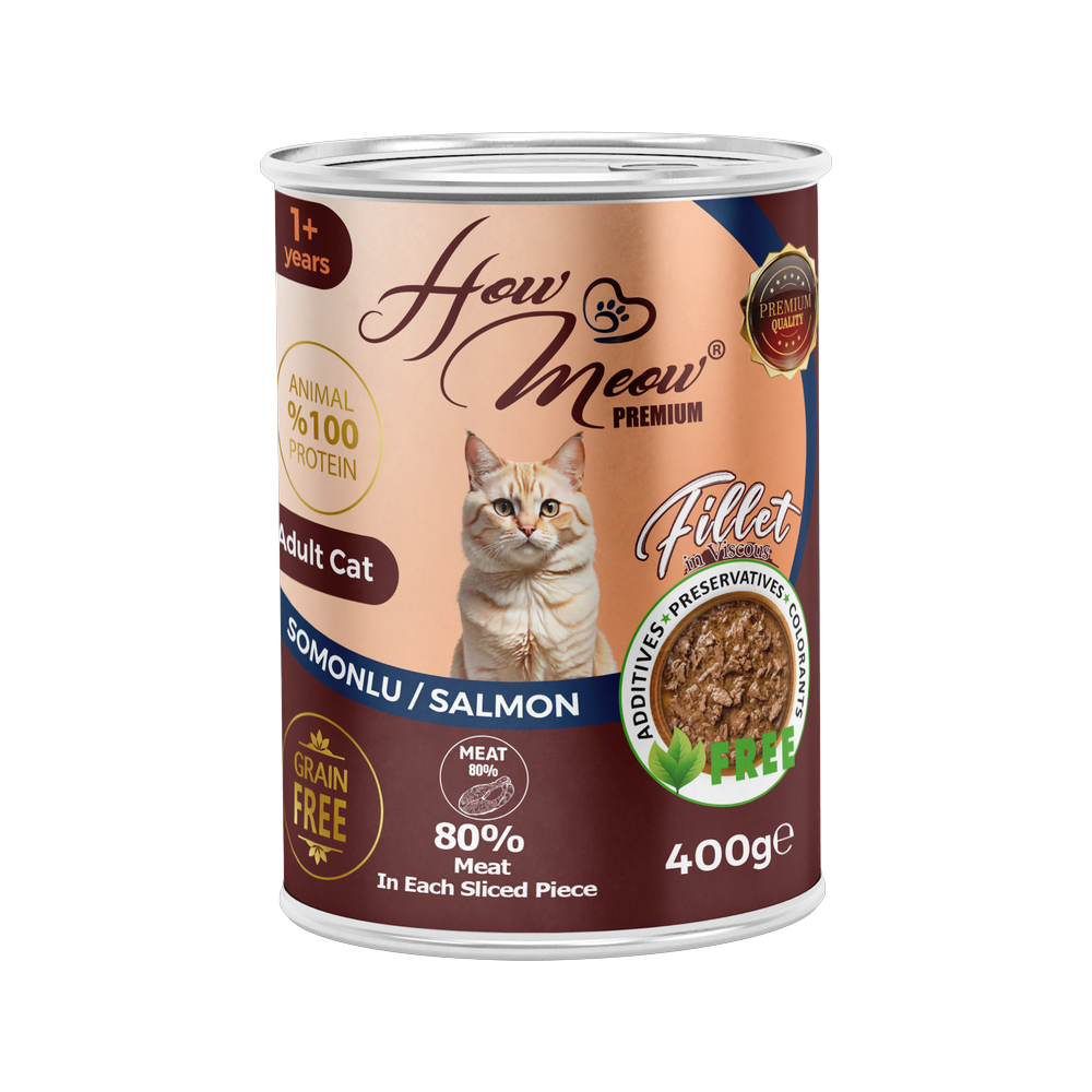 HowMeow Yetişkin Kediler için Somonlu Fillet In Viscous Tam Yaş Mama